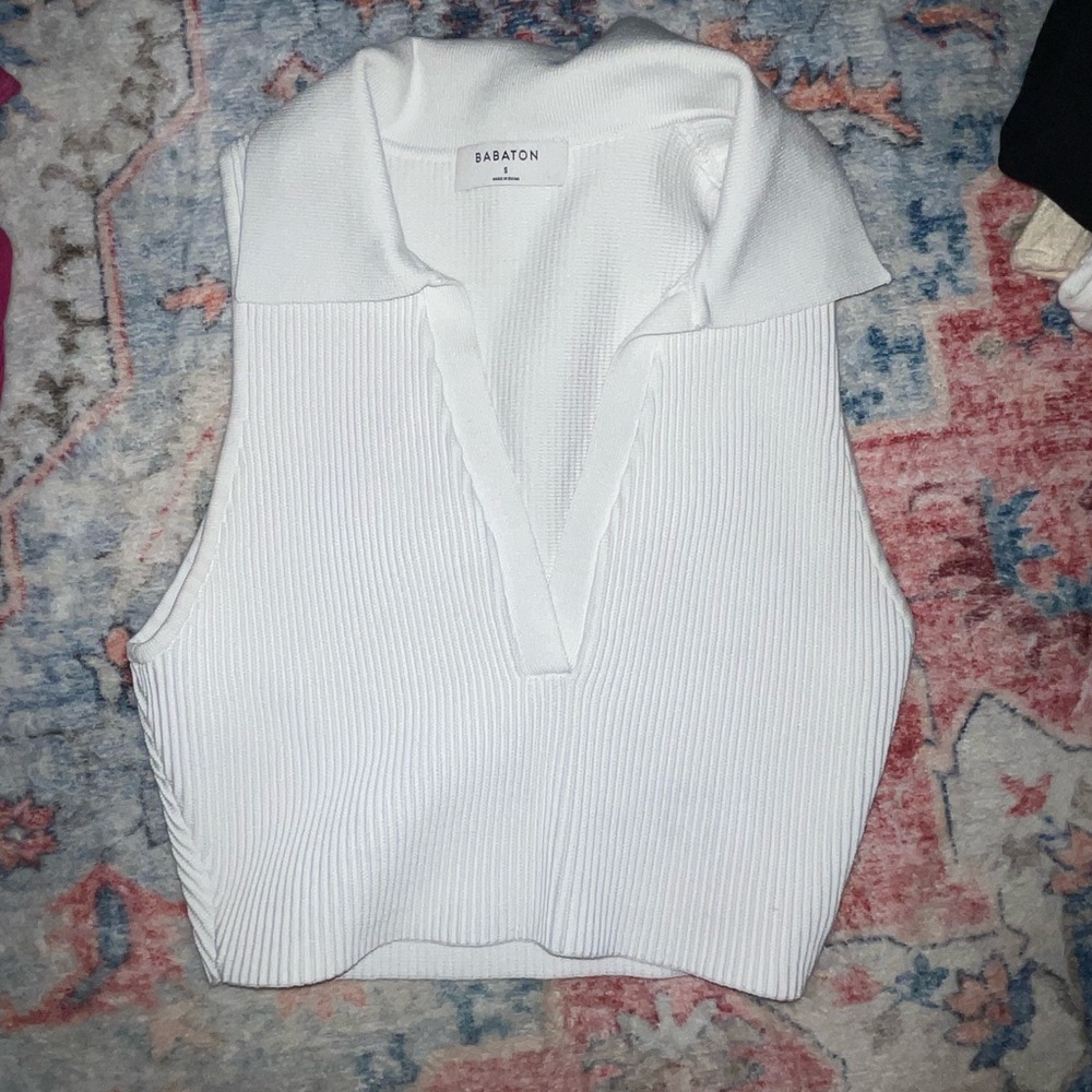 Aritzia Babaton Crop Top